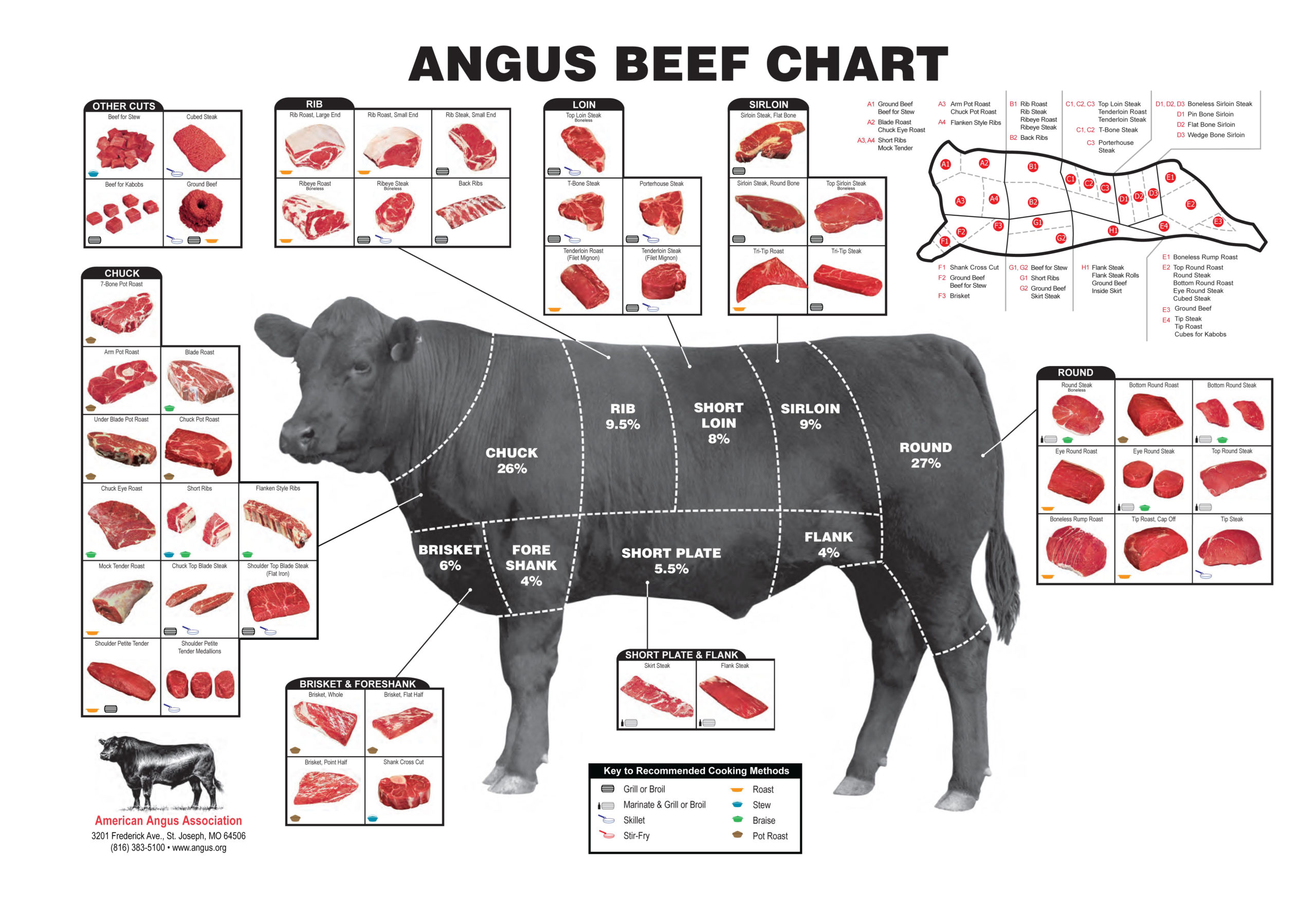 Beef Cuts Chart Infographic Diagram The BBQ Depot | annadesignstuff.com