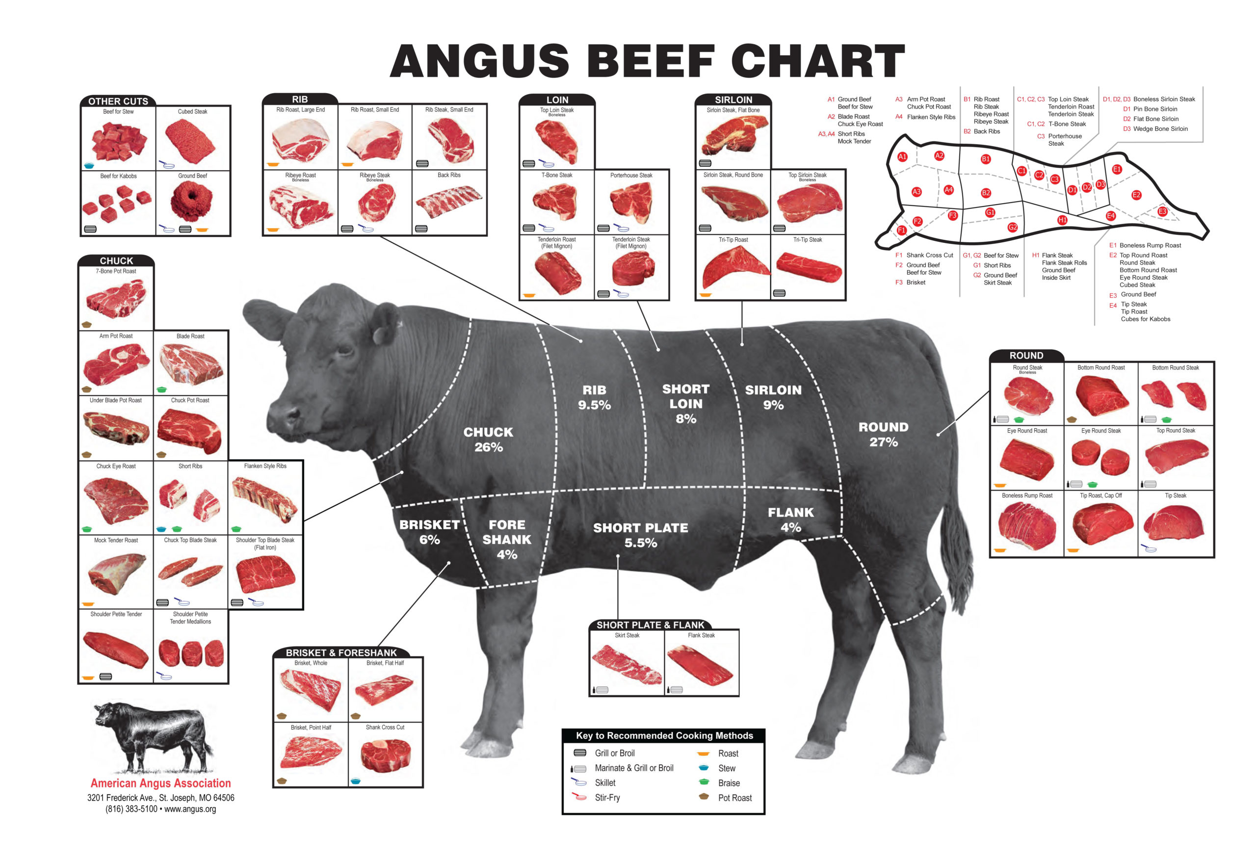 DSR Cattle Beef Sizes and Cuts